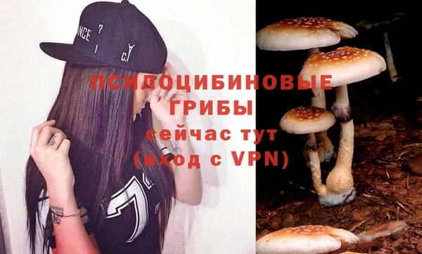 прущая мука Кулебаки