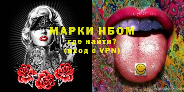 дживик Краснослободск