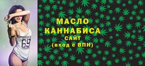 дживик Краснослободск