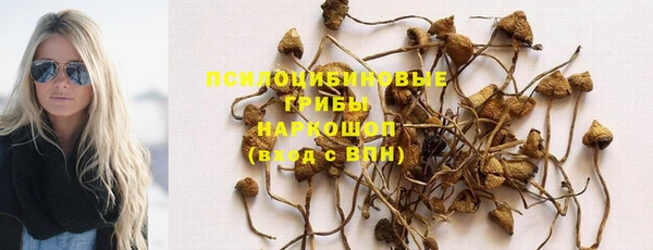 бошки Кукмор