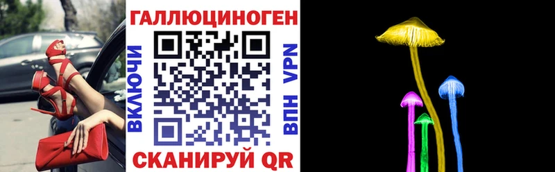 Галлюциногенные грибы мицелий  где найти наркотики  Снежногорск 